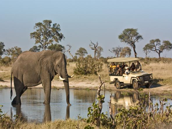 Savute Elephant Camp by Orient Express- Game Drive